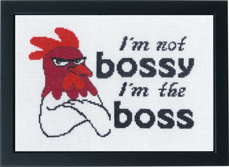 Stickset I'm not bossy 29 x 20 cm
