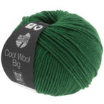 Cool Wool Big 949 Flaschengrün