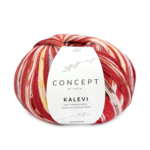 Katia Concept Kalevi Socks 204 Rot-Braun-Gelb-Rostrot