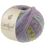 Lana Grossa Landlust Die Sockenwolle 618 Veilchenblau/Jeans/Hellblau/Hell-/Dunkelgrau/Jade/Pistazie/Flieder gestreift