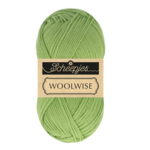 Scheepjes Woolwise 755 Kiefernnadel