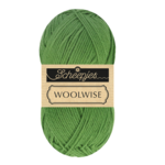 Scheepjes Woolwise 756 Agavengrün