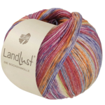 Lana Grossa Landlust die Sockenwolle Seide 335 Orange/Grau/Zitronengelb/Hellblau/Blau/Violett/Fuchsia/Hellrot gestreift
