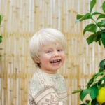 Magazin: DSA41 NORDIC SUMMER