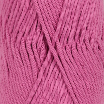 15 Rosa