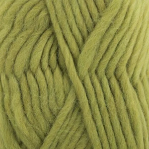 29 Apfelgrün (Uni Colour)