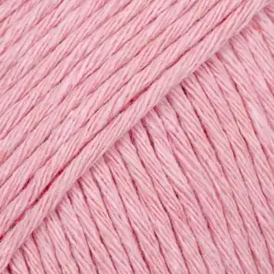 41 Pfingstrose (Uni Colour)