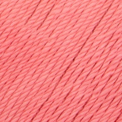 039 Salmon