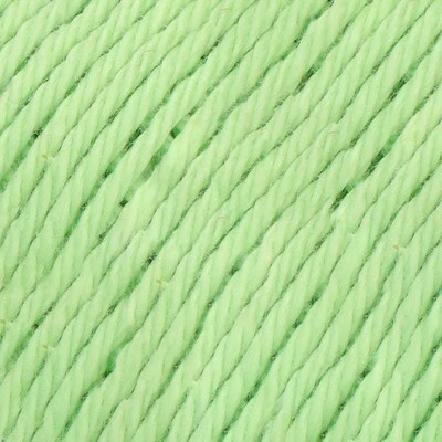 081 Lettuce