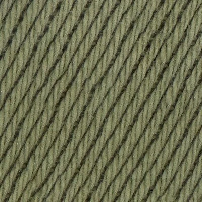 090 Olive