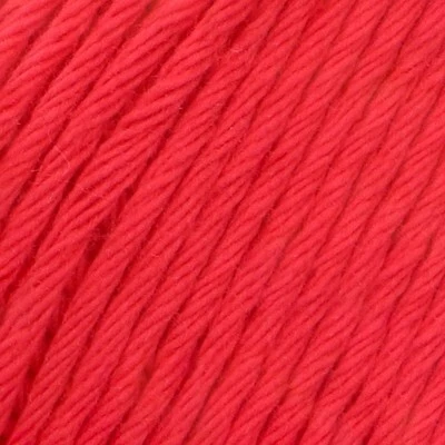 031 Cardinal
