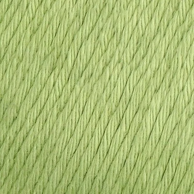 123 Fern