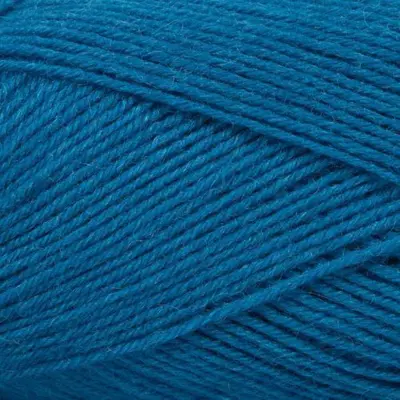 23 Blauer Aster