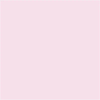 Blasse Rose