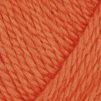 1207 Carrot