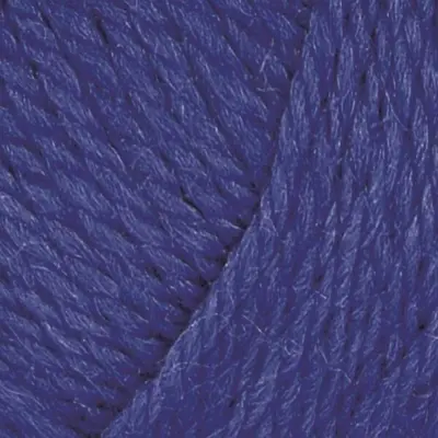 1213 Blue Iris
