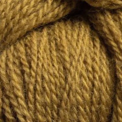 74113 Dijon mustard