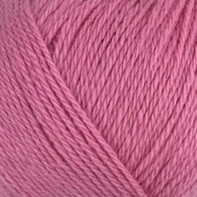 48 Rosa