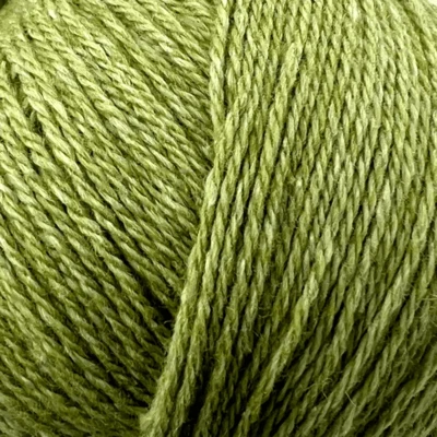 22 Limette