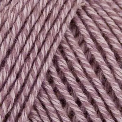 504 Hellviolett