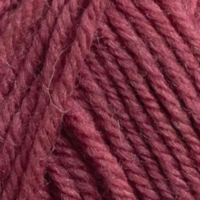 549 Stechpalme Beerenrosa