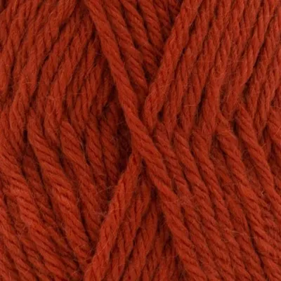 Kürbis