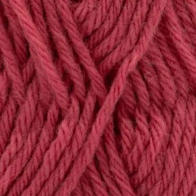 Wüstenrose
