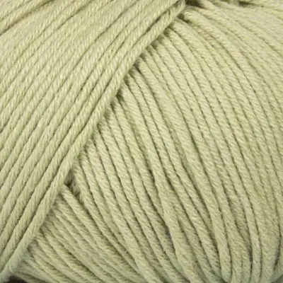 023 Salbei