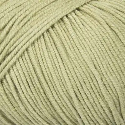 023 Salbei
