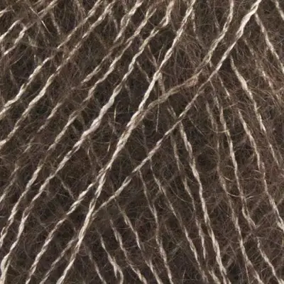 3009 Braun