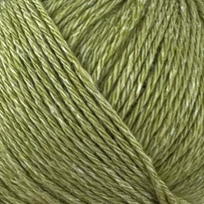 22 Limette