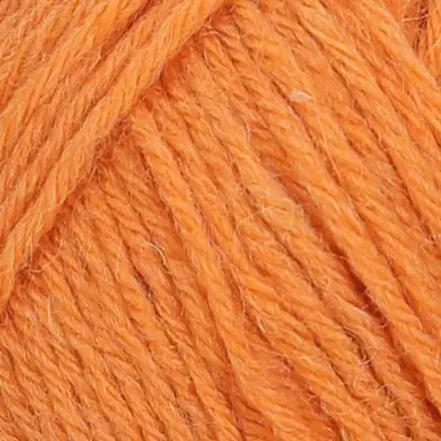 Regia 100 g 4-ply