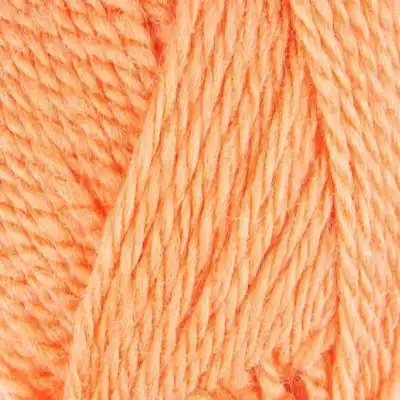 7242 Verrückte Cantaloupe