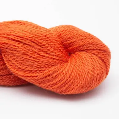 57 Kräftiges Orange RAS