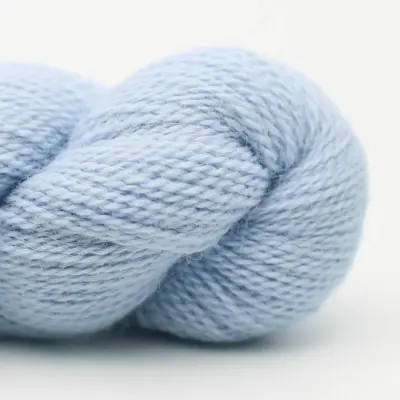 76 Blassblau RAS