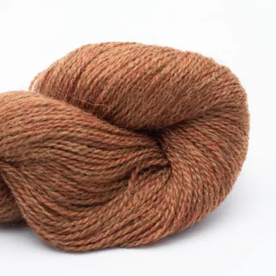 124 Rostbraun RAS