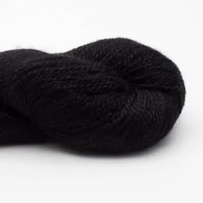 36 Schwarz RAS