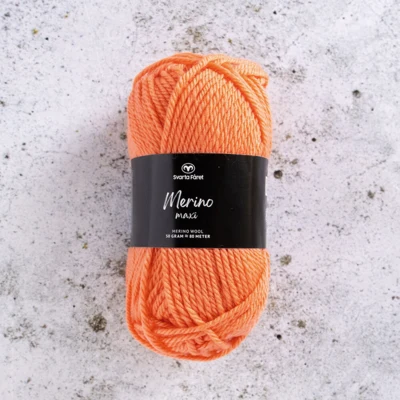14 Cantaloupe-Melone