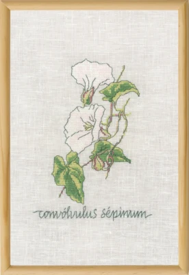 Stickset Zaunwinde R5799 20 x 30 cm