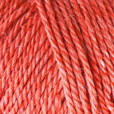 840 Coral rot