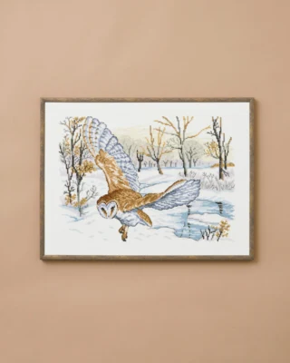 Stickset Schleiereule 30 x 40 cm