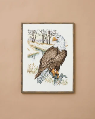 Stickerei-Kit Der Adler 30 x 40 cm