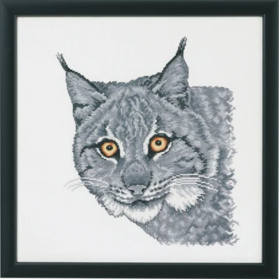 Luchs in Grau R5615
