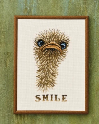 Stickerei-Kit "Smile" Strauß 18x24 cm R5703